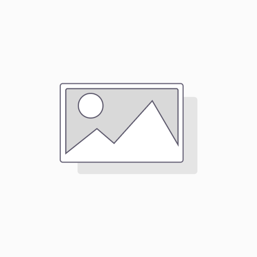 Head Coello Motion (2026) [Used] (TESTER)